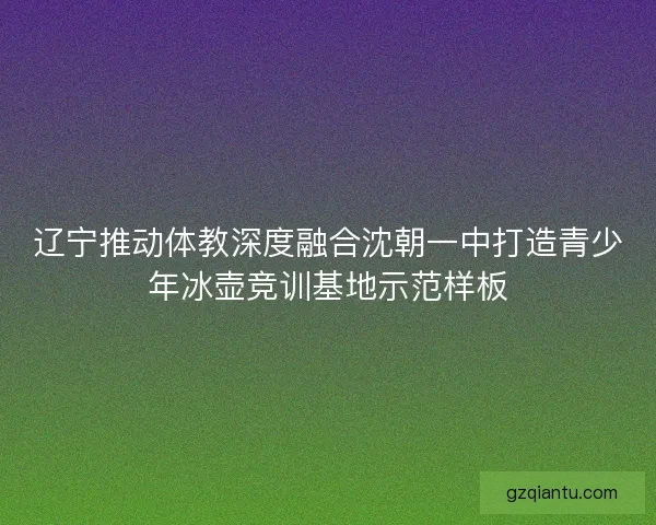 辽宁推动体教深度融合沈朝一中打造青少年冰壶竞训基地示范样板